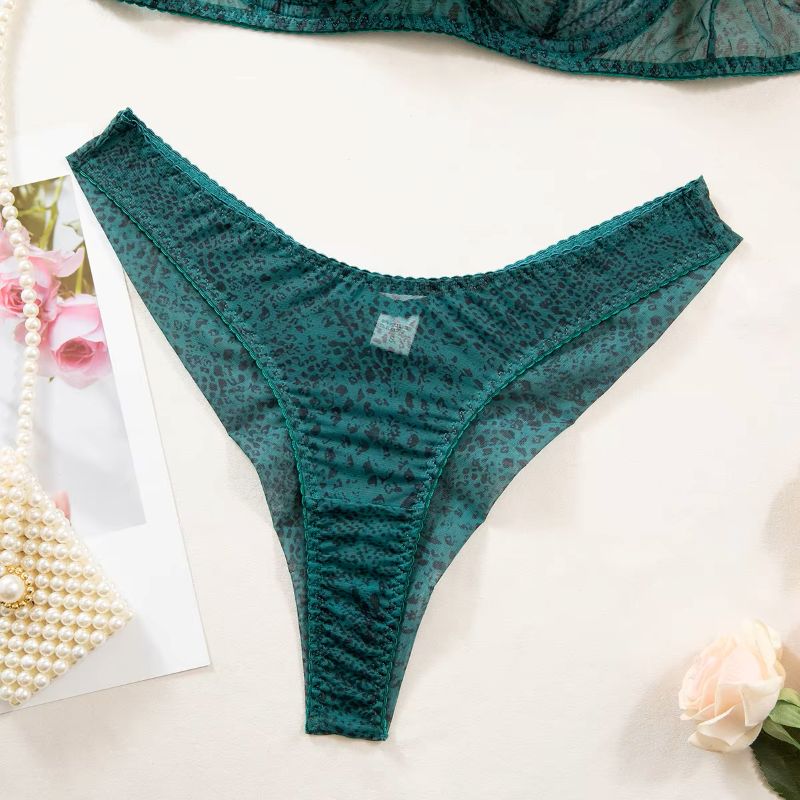 2pcs/Set Woman Lingerie Gather - Sheer Mesh Bra 评论和价格